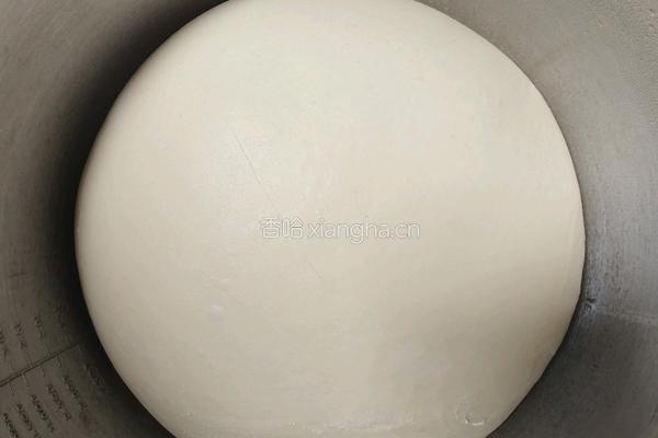 波兰种奶油吐司(2个450g吐司)的做法图解9