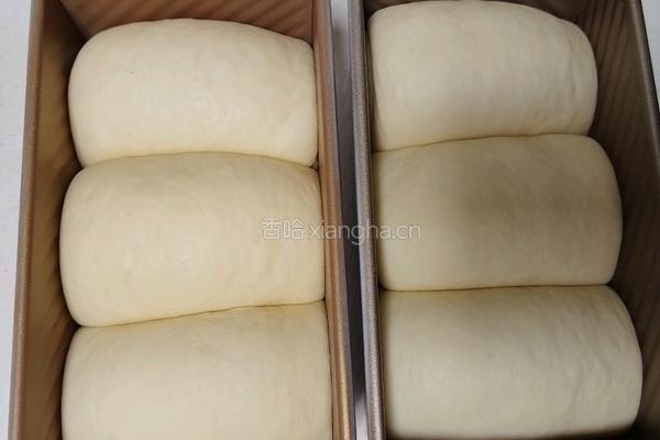 波兰种奶油吐司(2个450g吐司)的做法图解20