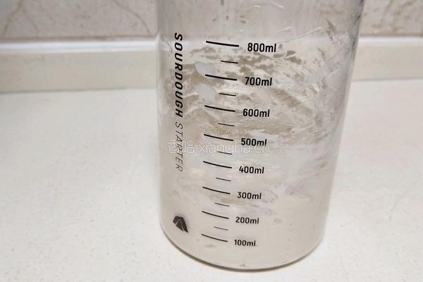 奶油吐司（波兰种 2个450g）的做法图解2