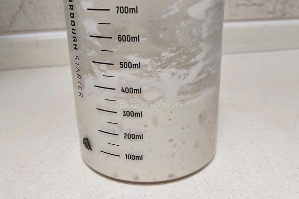 奶油吐司(波兰种 2个450g)的做法图解4