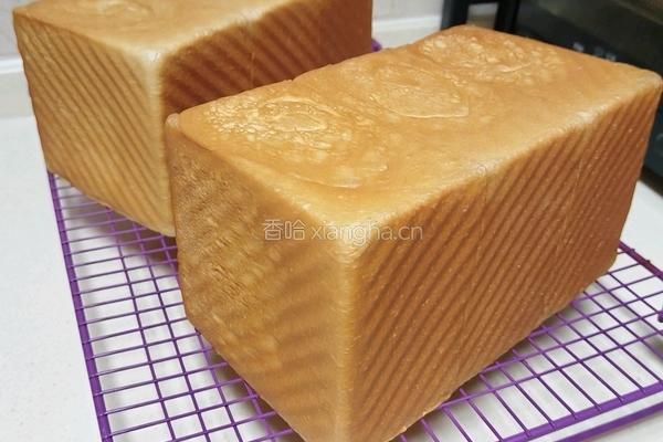 奶油吐司（波兰种 2个450g）的做法图解23