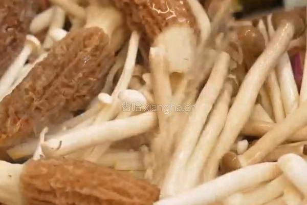 黑松露菌菇鸡肉煲的做法图解4