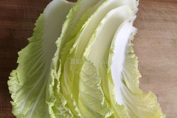 白菜炖豆腐的做法图解1