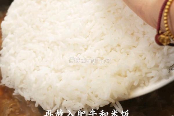 土豆泥肥牛烩饭的做法图解7