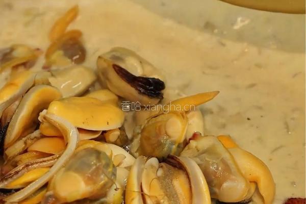 法式奶油蛤蜊青归贝的做法图解6
