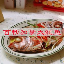 百秒加拿大红鱼的做法[图]