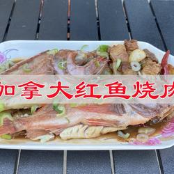 加拿大红鱼烧肉的做法[图]