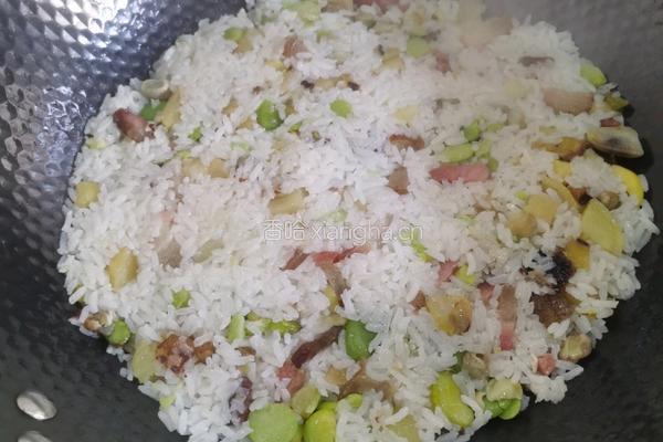蚕豆焖饭(春饭)的做法图解10