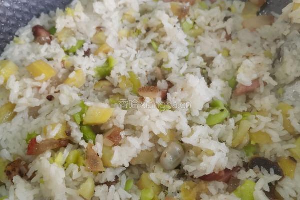 蚕豆焖饭(春饭)的做法图解12