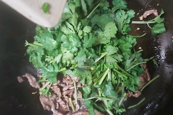 香菜炒牛肉的做法图解7