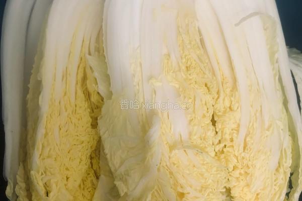 锅边醋香娃娃菜的做法图解1