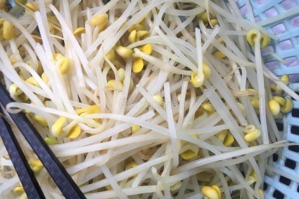 麻辣水煮肉片的做法图解2