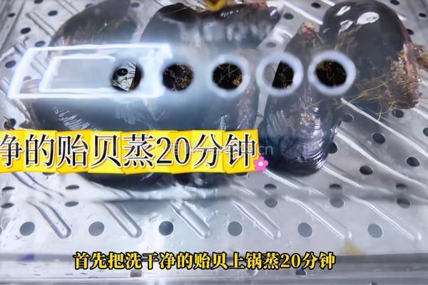 加拿大北极虾海鲜豆腐汤的做法图解1