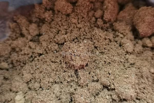 酸枣软糖的做法图解2