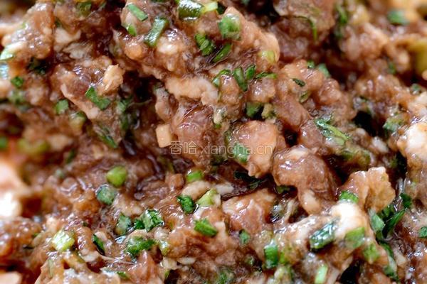 牛肉小笼包的做法图解3