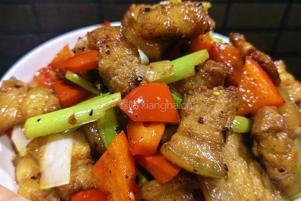 家常大葱红椒炒五花肉
