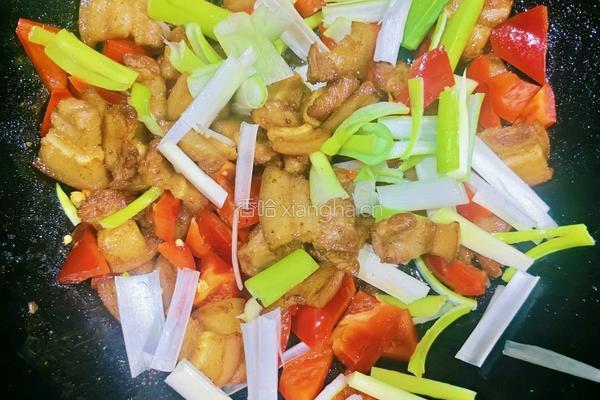 家常大葱红椒炒五花肉的做法图解4