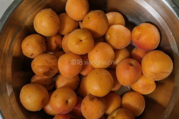 自制杏酱的做法图解1