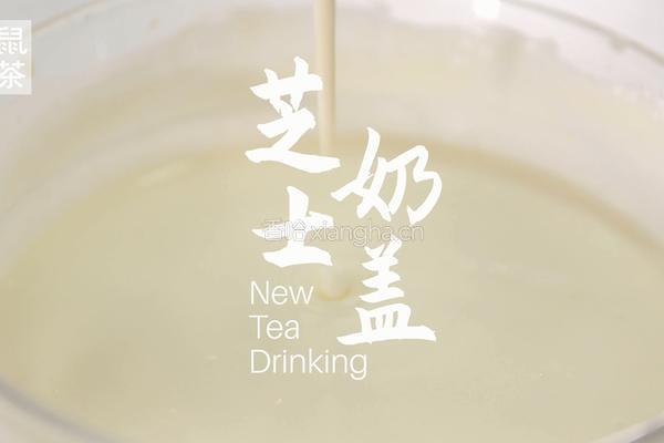 芝士奶盖的做法（松鼠茶茶奶茶教程）
