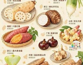 秋日地根鲜[图]