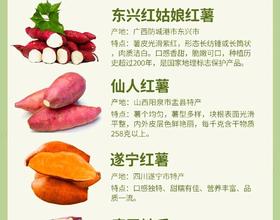 快冬天了，快来看各种红薯[图]