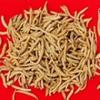 太子参的做法大全[图]