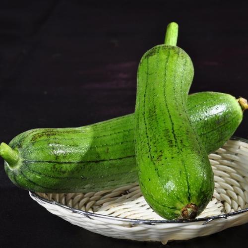 丝瓜[图]